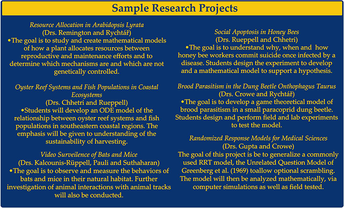 sample research projects
